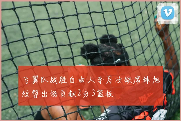 飞翼队战胜自由人李月汝缺席韩旭短暂出场贡献2分3篮板
