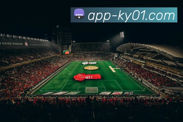 App Interface Preview
