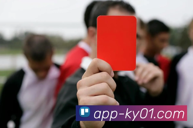 开云APP 封面图